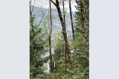 0 Xxxxx W Shore Drive, Mount Vernon, WA 98274 - Photo 12