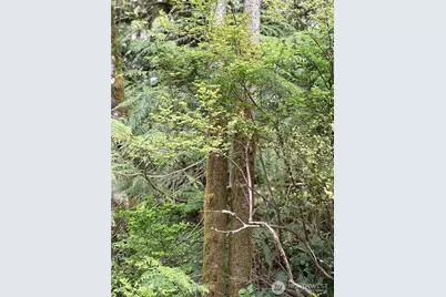 0 Xxxxx W Shore Drive, Mount Vernon, WA 98274 - Photo 10