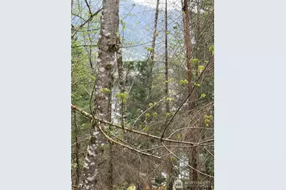 0 Xxxxx W Shore Drive, Mount Vernon, WA 98274 - Photo 8