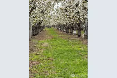 5814 Colockum Road, Malaga, WA 98828 - Photo 38