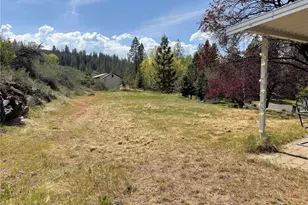 31884 Phillips Ln E, Davenport, WA 99122 - Photo 4