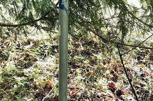 1513 State Route 8, McCleary, WA 98557 - Photo 30