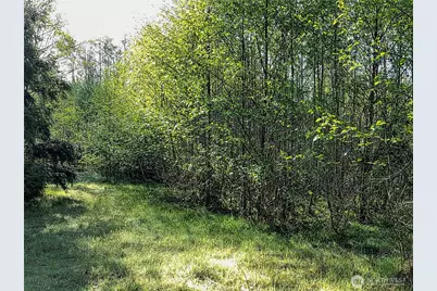 1513 State Route 8, McCleary, WA 98557 - Photo 14