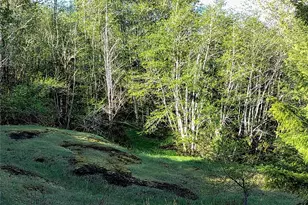 1513 State Route 8, McCleary, WA 98557 - Photo 28