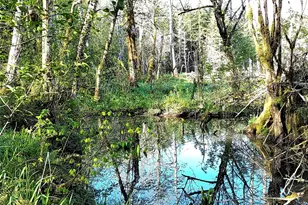 1513 State Route 8, McCleary, WA 98557 - Photo 26