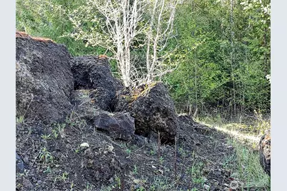 1513 State Route 8, McCleary, WA 98557 - Photo 32