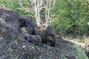 1513 State Route 8, McCleary, WA 98557 - Photo 32