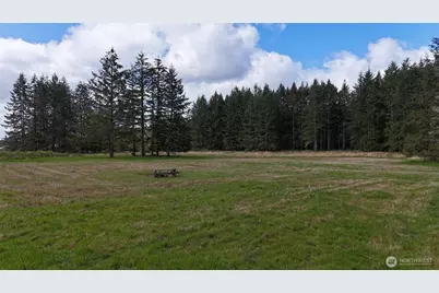 0 Justus Road, Cinebar, WA 98533 - Photo 16