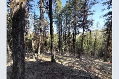 0 Tbd Give Out Creek Road, Wauconda, WA 98859 - Photo 20