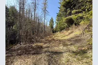 0 Tbd Give Out Creek Road, Wauconda, WA 98859 - Photo 2