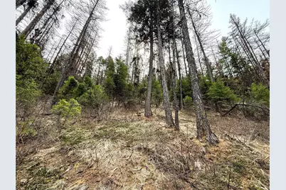0 Tbd Give Out Creek Road, Wauconda, WA 98859 - Photo 8