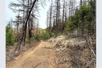 0 Tbd Give Out Creek Road, Wauconda, WA 98859 - Photo 10