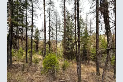 0 Tbd Give Out Creek Road, Wauconda, WA 98859 - Photo 6