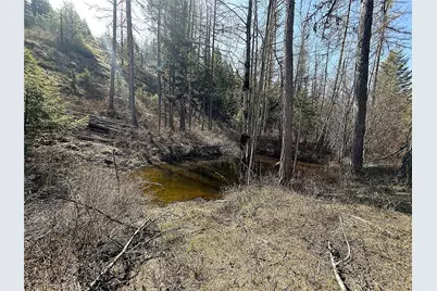 0 Tbd Give Out Creek Road, Wauconda, WA 98859 - Photo 12