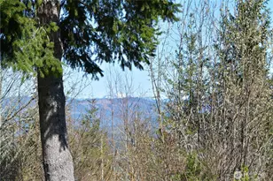 20 Academy Highlands, Bellingham, WA 98226 - Photo 6