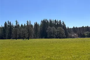 0 NE 212th Ave, Battle Ground, WA 98604 - Photo 1