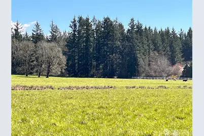0 NE 212th Avenue, Battle Ground, WA 98604 - Photo 4