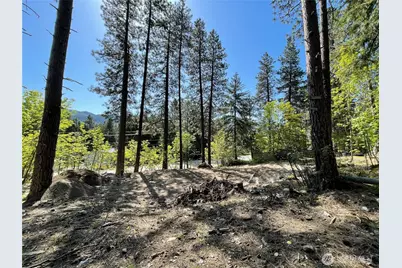 0 Icicle Road, Leavenworth, WA 98826 - Photo 10