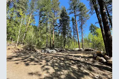 0 Icicle Road, Leavenworth, WA 98826 - Photo 8