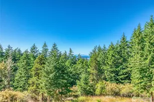 97 Snowberry Ln, Orcas Island, WA 98245 - Photo 30