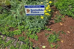 14226 189th Ave E, Bonney Lake, WA 98391 - Photo 24