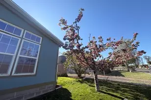 330 N Juniper St, Soap Lake, WA 98851 - Photo 24