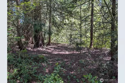 0 Xxx Trosper Road SW, Tumwater, WA 98512 - Photo 14