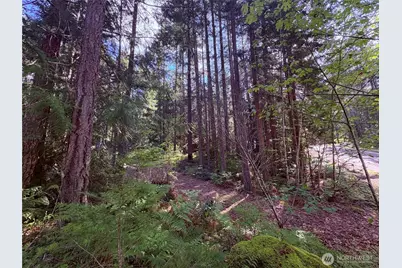 30 N Skokomish Drive, Hoodsport, WA 98548 - Photo 10