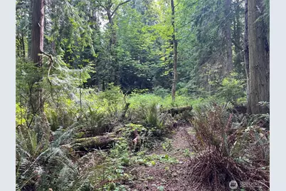0 Hoffman Road, Kingston, WA 98346 - Photo 2