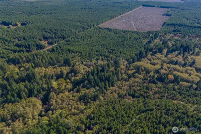 211 W New Moon Lane, Matlock, WA 98560 - Photo 26