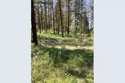19 Lot, Doe Lane, Tonasket, WA 98855 - Photo 1