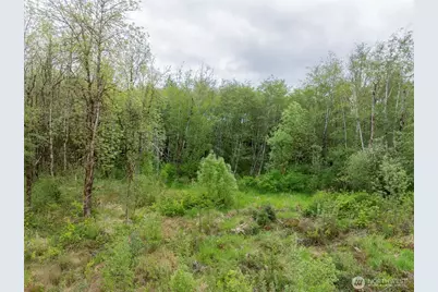 0 Eadon Road, Toledo, WA 98591 - Photo 10