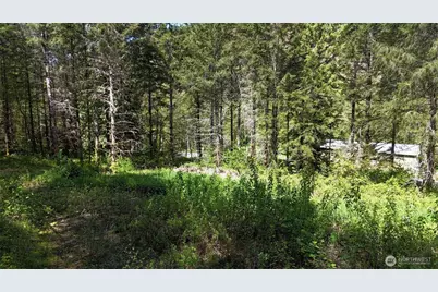 426 Highland Valley Road, Morton, WA 98356 - Photo 2