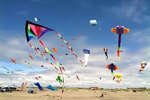 520 E Chance a La Mer NE, Ocean Shores, WA 98569 - Photo 30