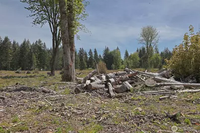 15138 Champion Estate Drive SE, Yelm, WA 98597 - Photo 8