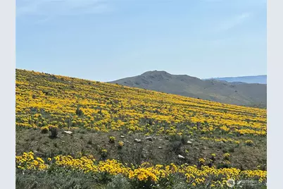 0 Lot 4 High Ranch Rd., Methow, WA 98834 - Photo 6