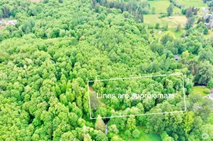 0 NE Old Belfair Hwy Lot 2, Belfair, WA 98528 - Photo 1