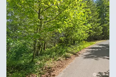 0 E Gerbing View Drive, Union, WA 98592 - Photo 28