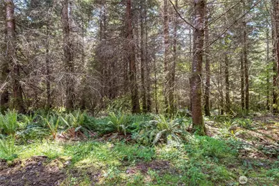 0 Orion, Longview, WA 98632 - Photo 4