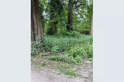 52 F Saratoga Drive, Hat Island, WA 98206 - Photo 4