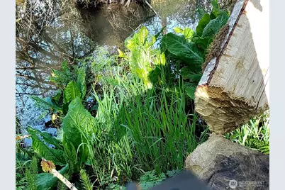 1513 State Route 8, McCleary, WA 98557 - Photo 24