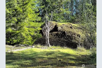 1513 State Route 8, McCleary, WA 98557 - Photo 12