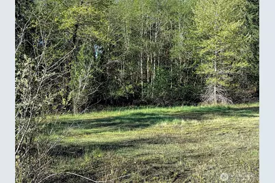 1513 State Route 8, McCleary, WA 98557 - Photo 22