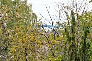 2219 13th Ave W, Seattle, WA 98119 - Photo 16