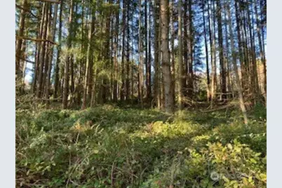 1 Huckleberry Lane, Port Ludlow, WA 98365 - Photo 8