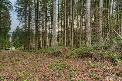 3 Huckleberry Lane, Port Ludlow, WA 98365 - Photo 2