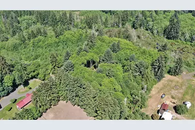 0 Nka North River Road, Cosmopolis, WA 98537 - Photo 14