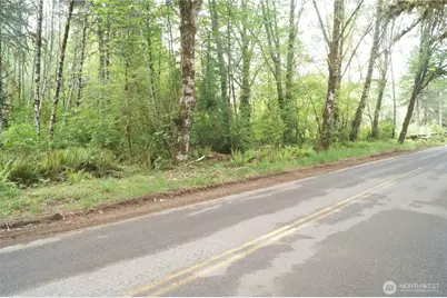 0 Nka North River Road, Cosmopolis, WA 98537 - Photo 2