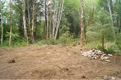 0 Nka North River Road, Cosmopolis, WA 98537 - Photo 8