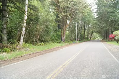 0 Nka North River Road, Cosmopolis, WA 98537 - Photo 1